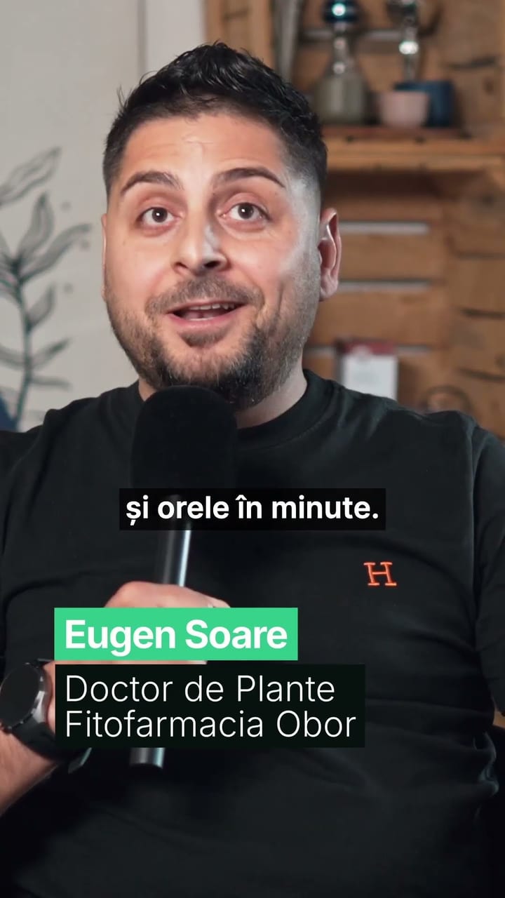 Previzualizare video: Ediția anterioară a cursului AI