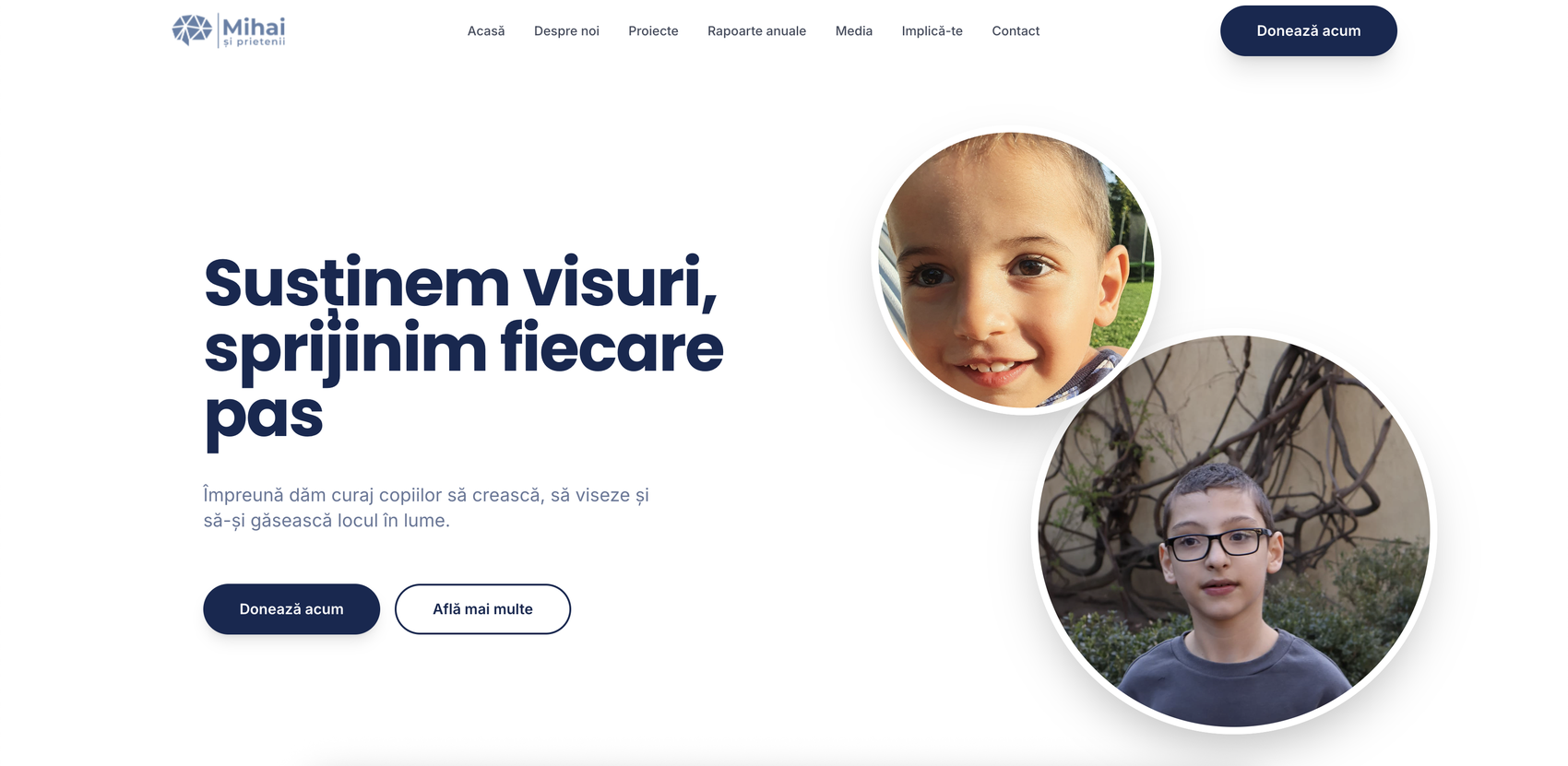 mihaisiprietenii.ro preview